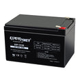 12V 12Ah Rechargeable Sealed Lead Acid AGM Battery with F2 Terminals L125