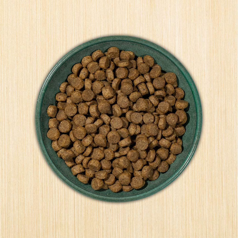 Dry Dog Food, 25% Protein Chicken & Brown Rice, 12-lb Bag Z256280