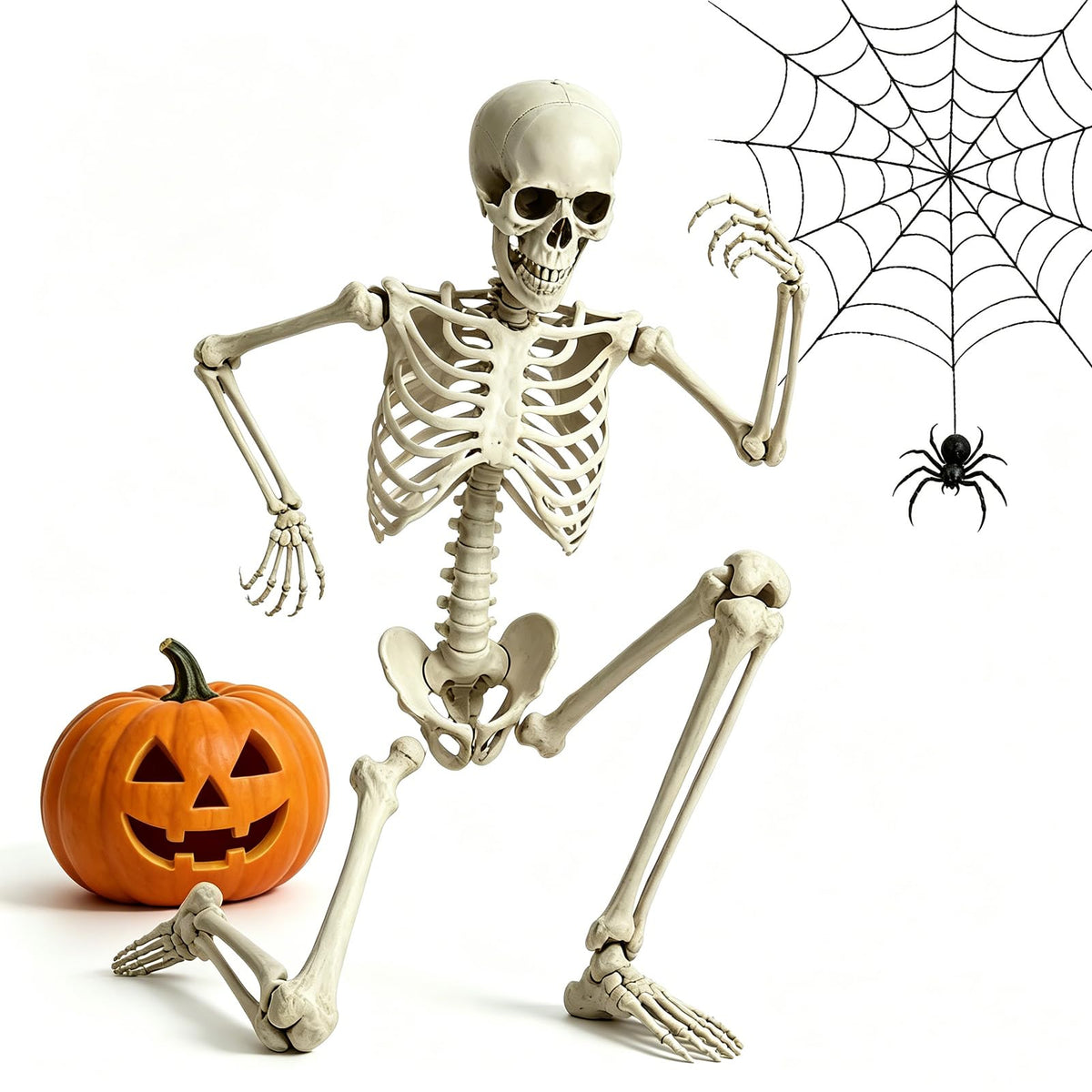 5.4FT Life Size Skeleton with Movable Joints F760