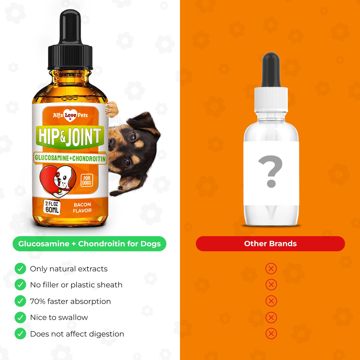 Liquid Glucosamine Chondroitin Dog Supplement 2 oz T5829