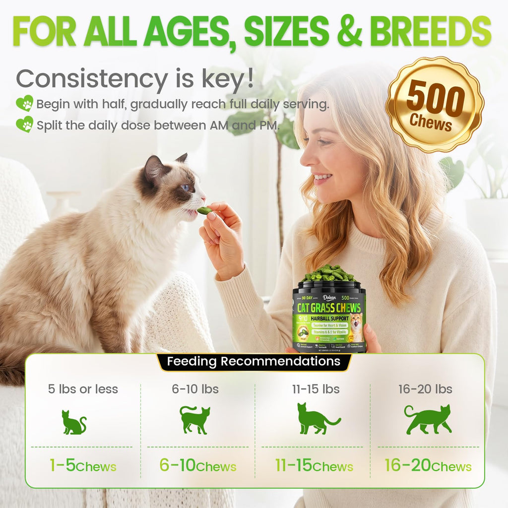 Cat Grass Treats Hairball Treatment for Cats H29021