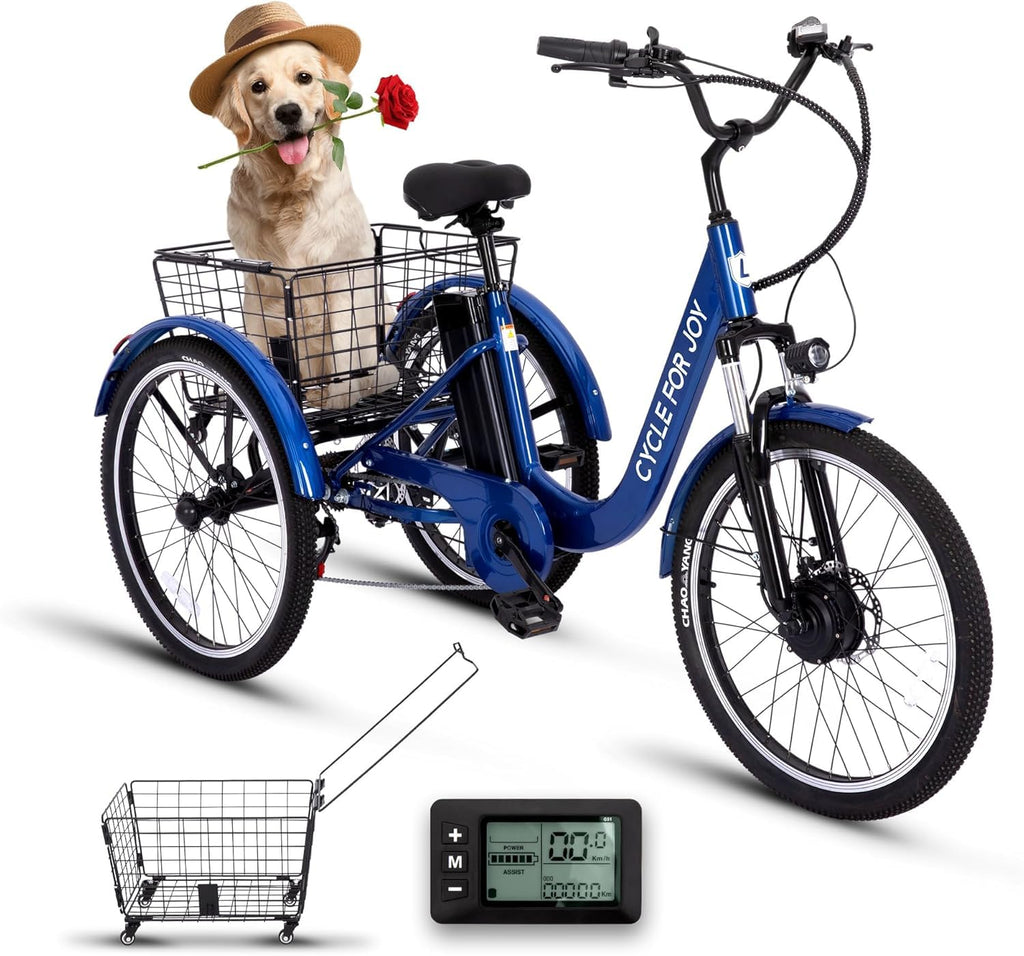 Electric Tricycle for Adults B216306