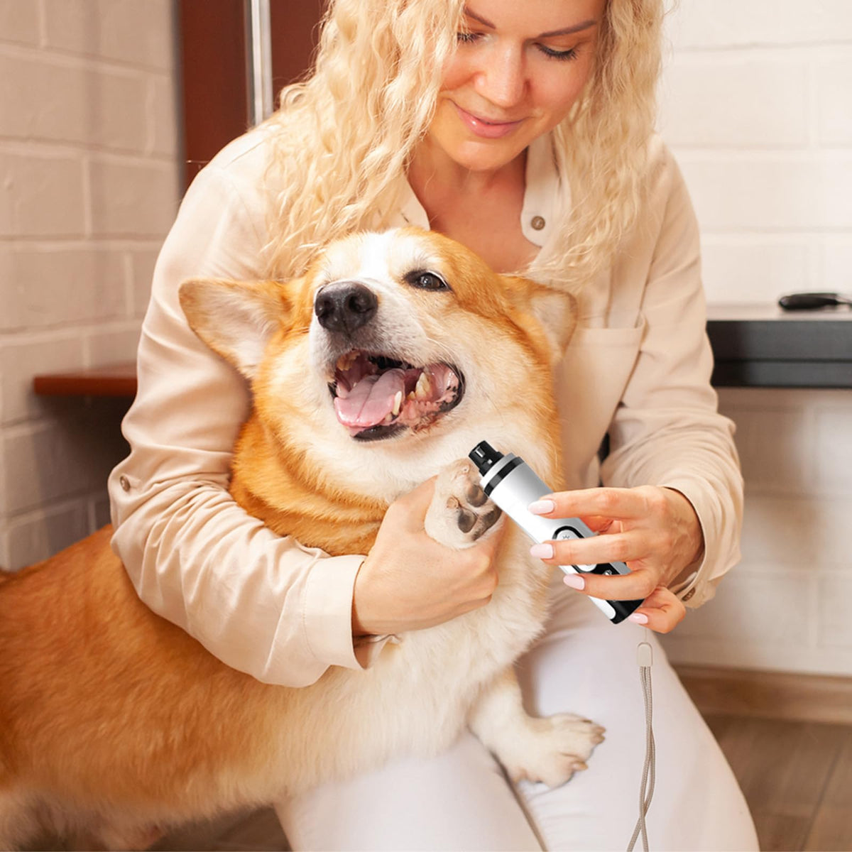 Silent Rechargeable Electric Pet Nail Grinder H114135
