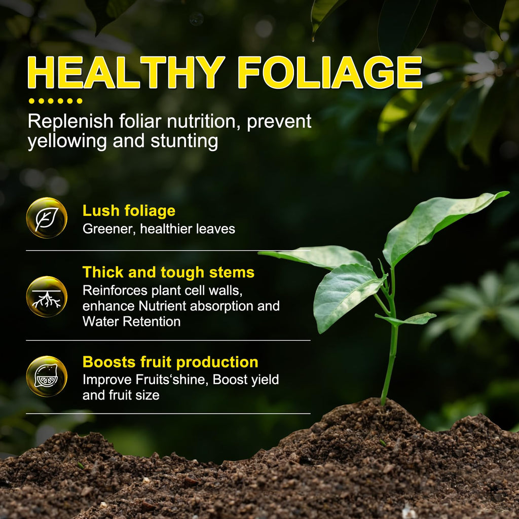Liquid Fertilizer with Organic Micro-Nutrient K255890