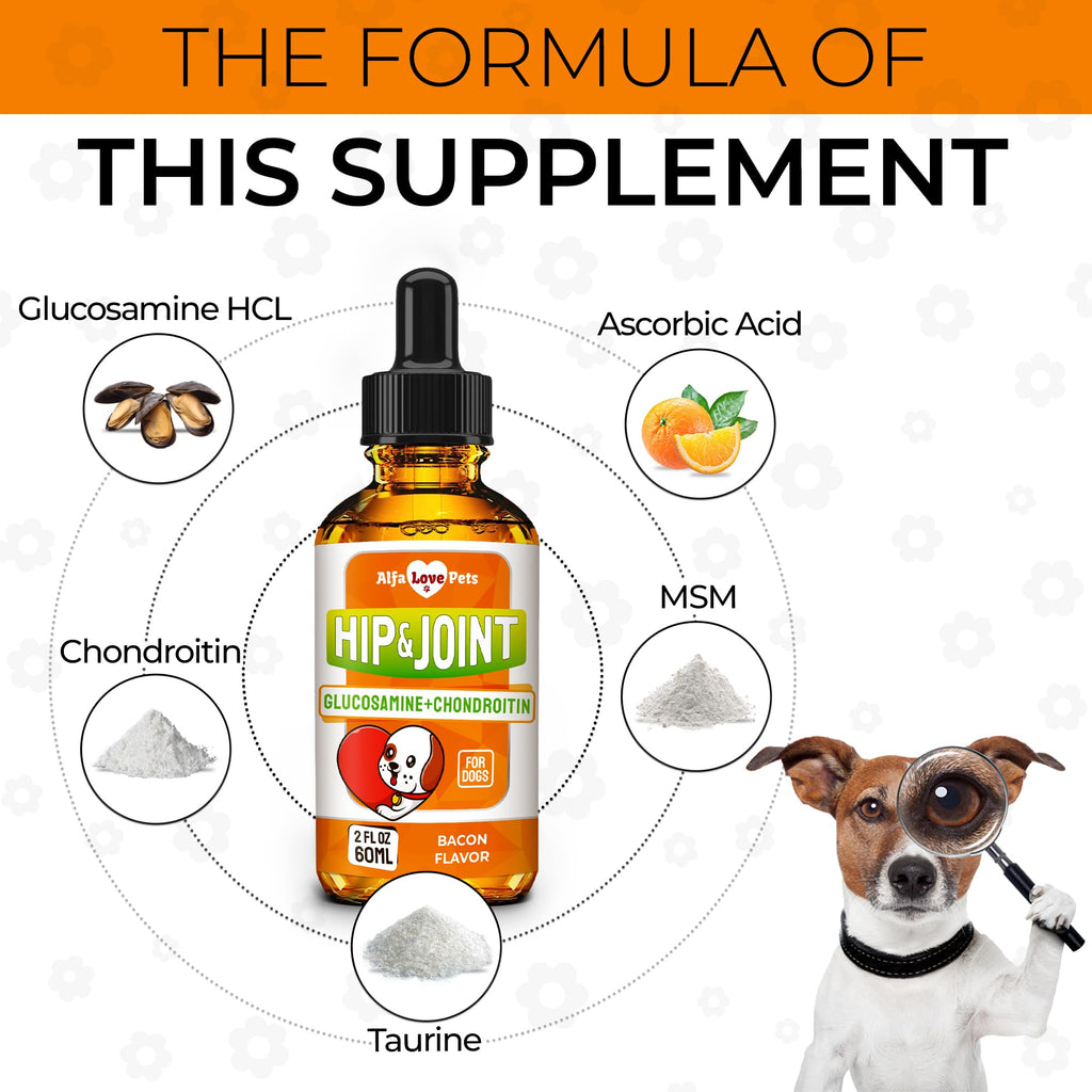 Liquid Glucosamine Chondroitin Dog Supplement 2 oz T5829