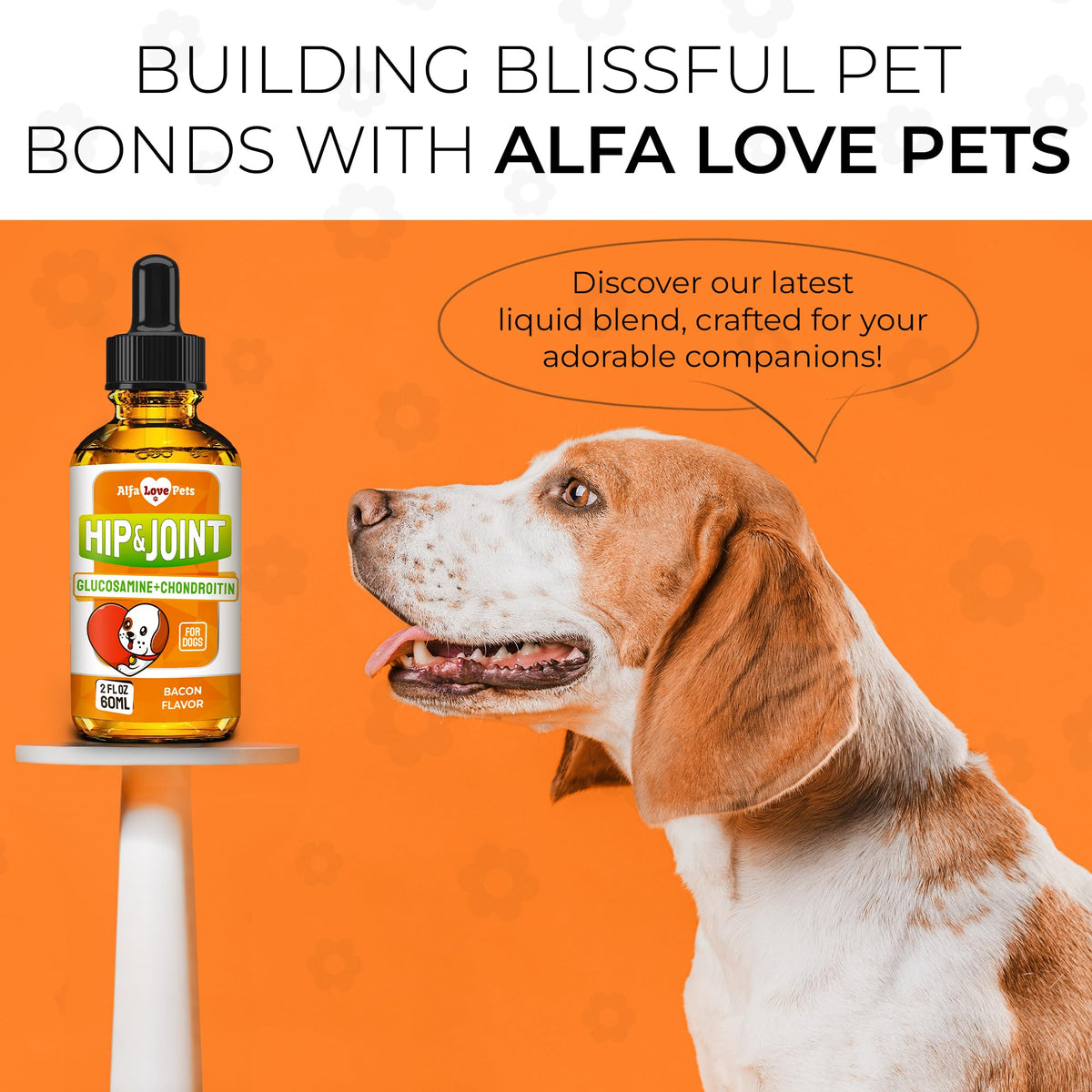 Liquid Glucosamine Chondroitin Dog Supplement 2 oz T5829