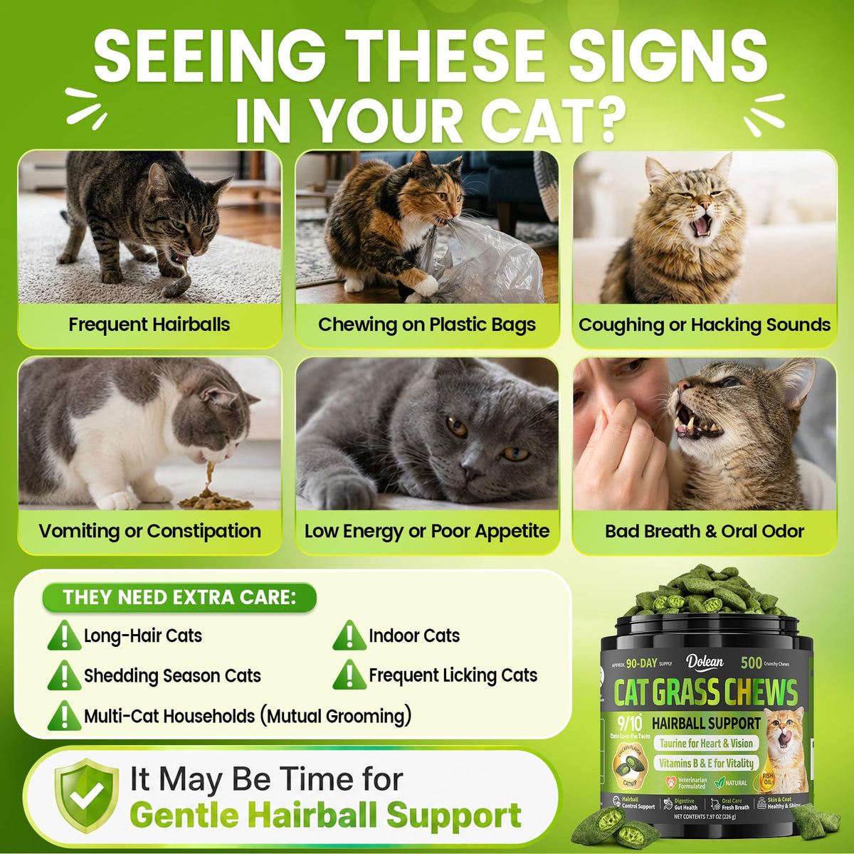 Cat Grass Treats Hairball Treatment for Cats H29021