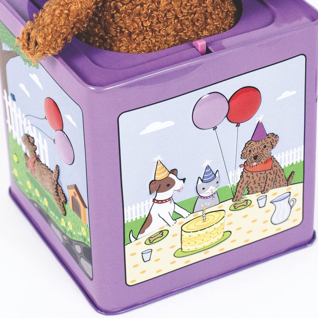 Birthday Puppy Jack-in-the-Box Toy Q850