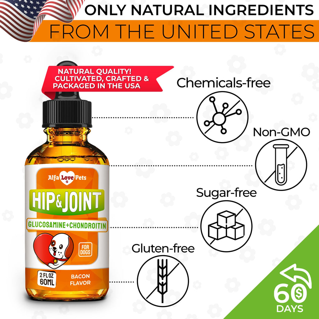 Liquid Glucosamine Chondroitin Dog Supplement 2 oz T5829