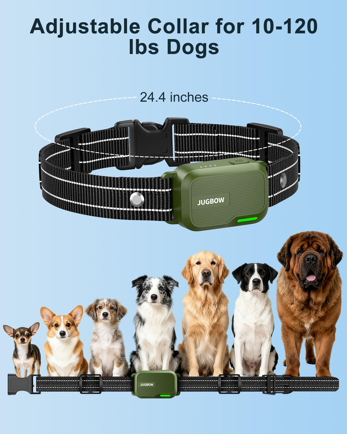 Dog Training Collar with Remote P562
