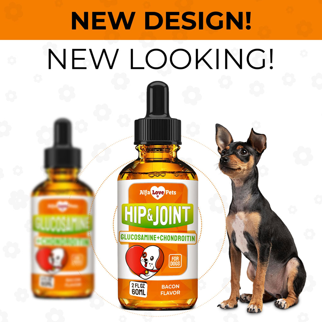 Liquid Glucosamine Chondroitin Dog Supplement 2 oz T5829