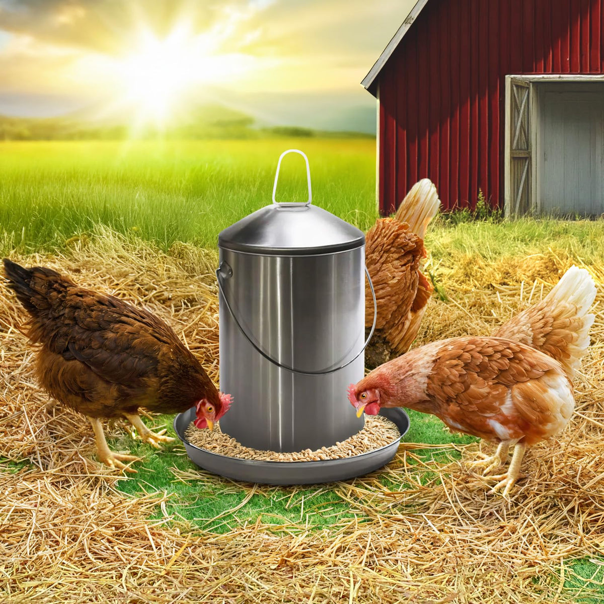 6.6 Lb Stainless Steel Hanging Poultry Feeder with 10 Gallon Storage Bucket B2255