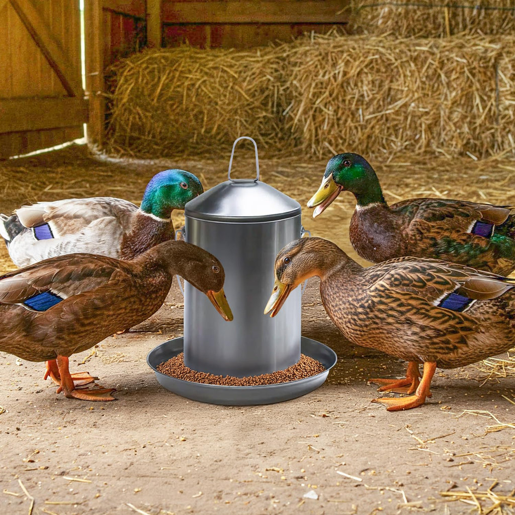 6.6 Lb Stainless Steel Hanging Poultry Feeder with 10 Gallon Storage Bucket B2255