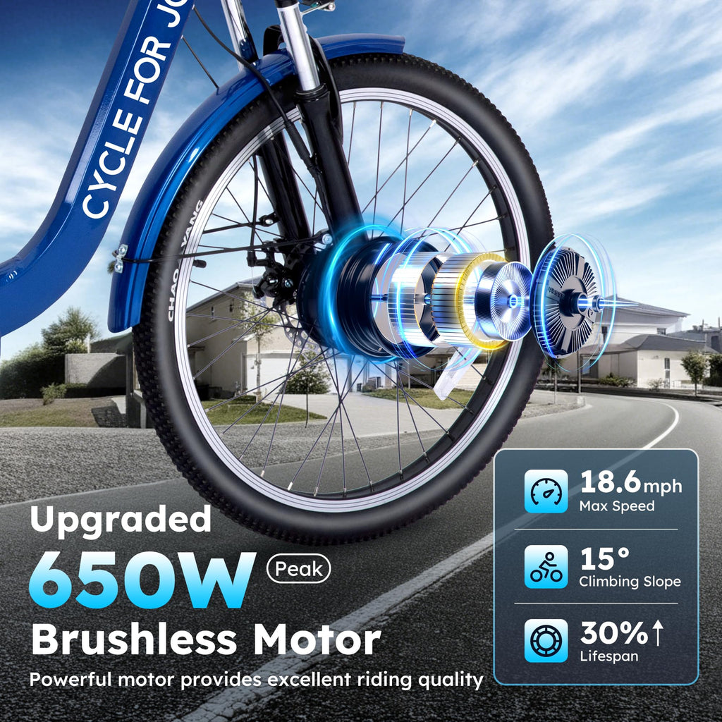Electric Tricycle for Adults B216306