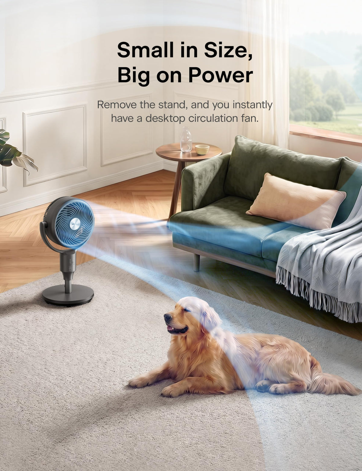 Grey Air Circulator Fan with Remote S246