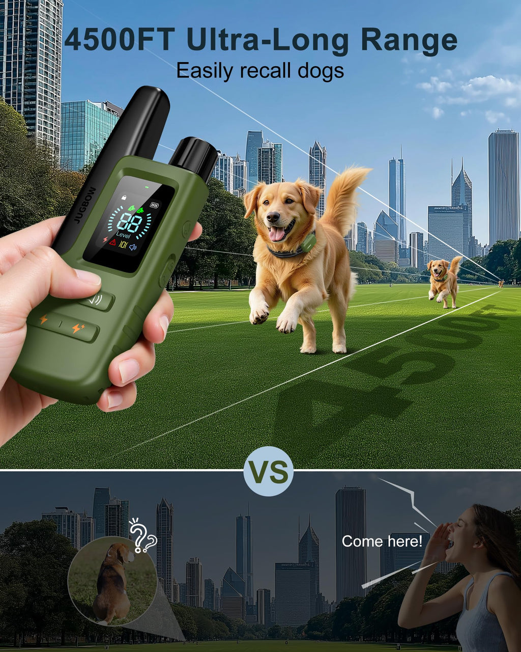 Dog Training Collar with Remote P562