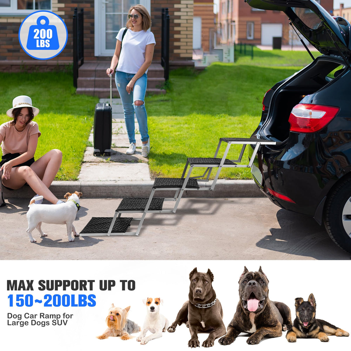 Foldable Dog Stairs for Car B353449
