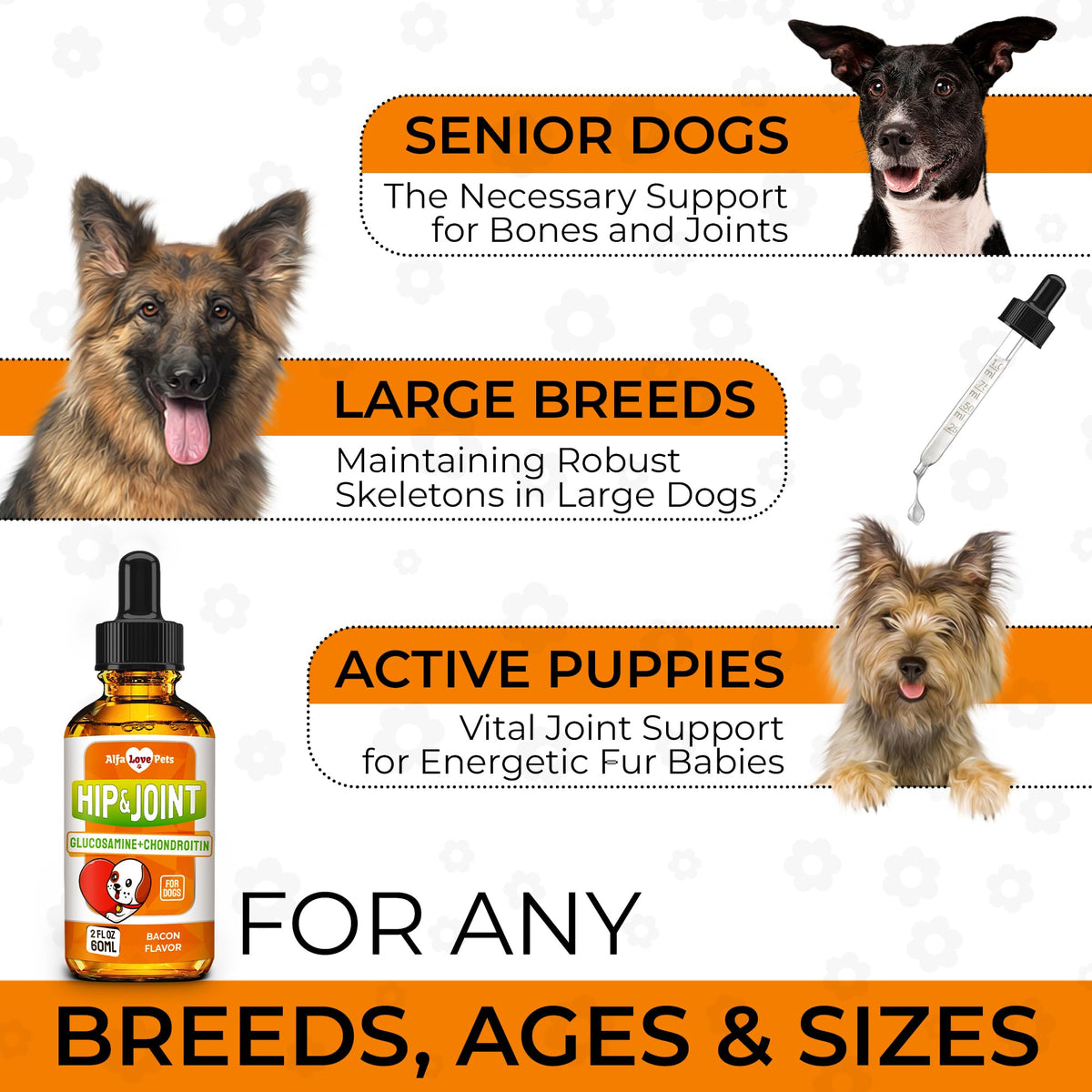 Liquid Glucosamine Chondroitin Dog Supplement 2 oz T5829
