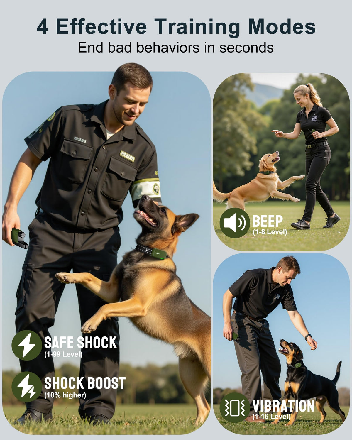 Dog Training Collar with Remote P562