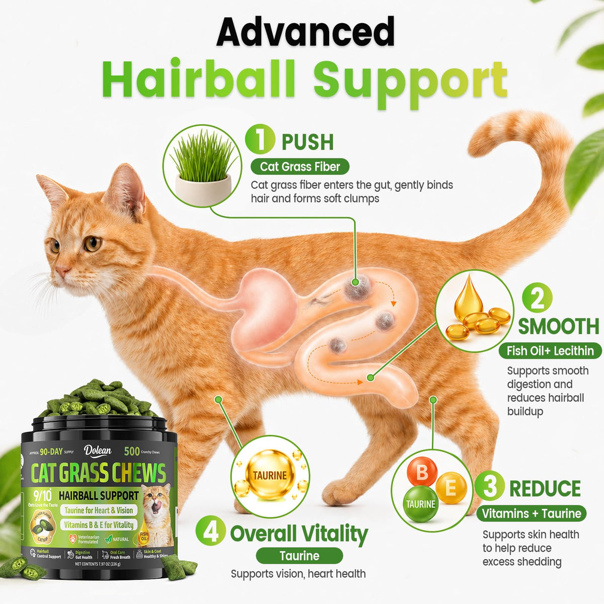 Cat Grass Treats Hairball Treatment for Cats H29021