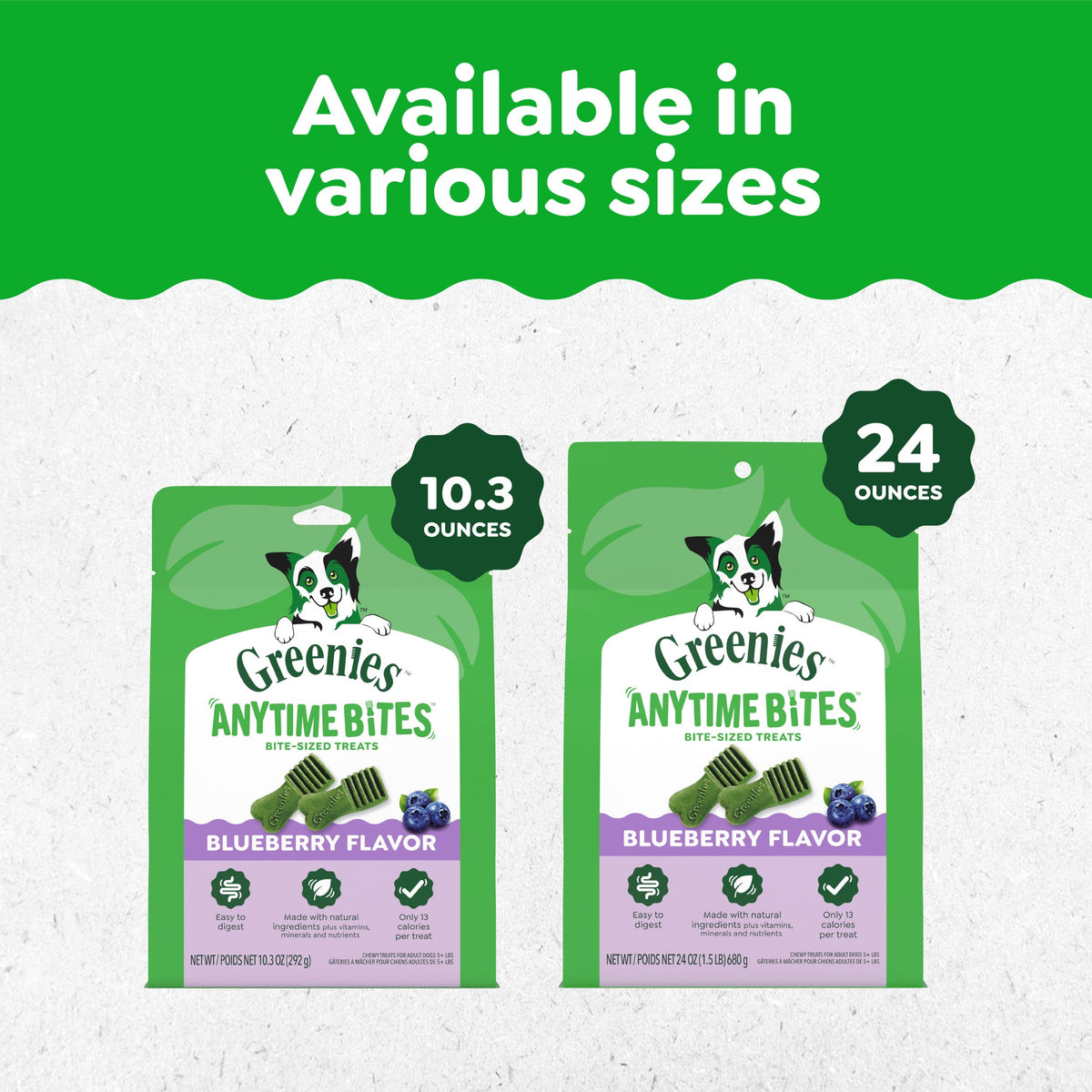 Blueberry Flavor Dog Treats 10.3 oz F575