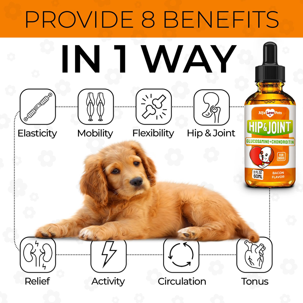 Liquid Glucosamine Chondroitin Dog Supplement 2 oz T5829