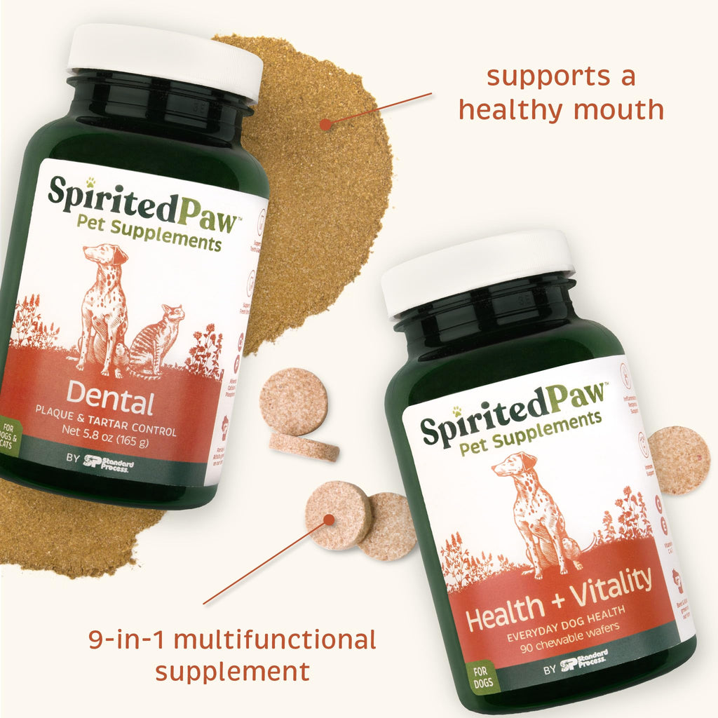 Pet Health Bundle - Dental & Multifunctional Support for Dogs - 165 g Powder & 90 Wafers X3384