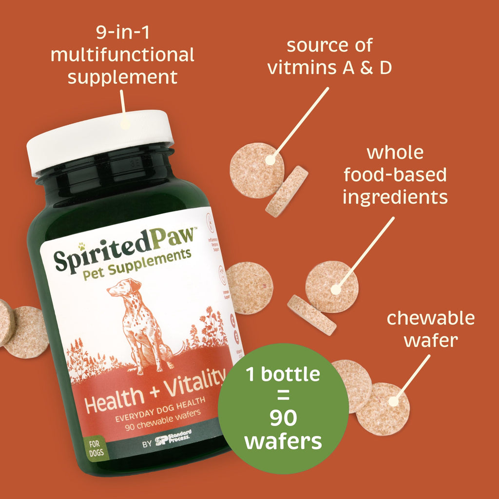 Pet Health Bundle - Dental & Multifunctional Support for Dogs - 165 g Powder & 90 Wafers X3384