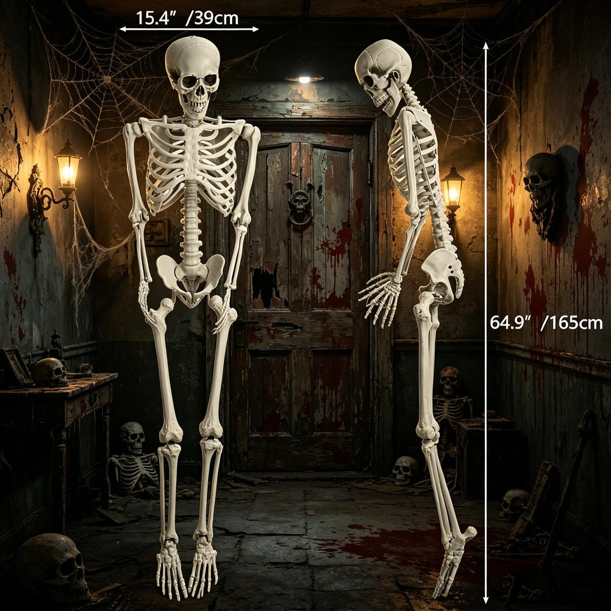 5.4FT Life Size Skeleton with Movable Joints F760