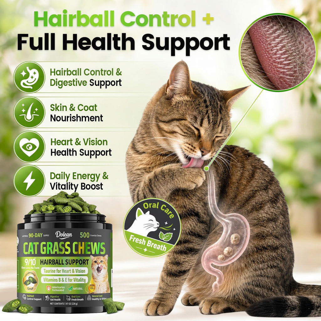 Cat Grass Treats Hairball Treatment for Cats H29021