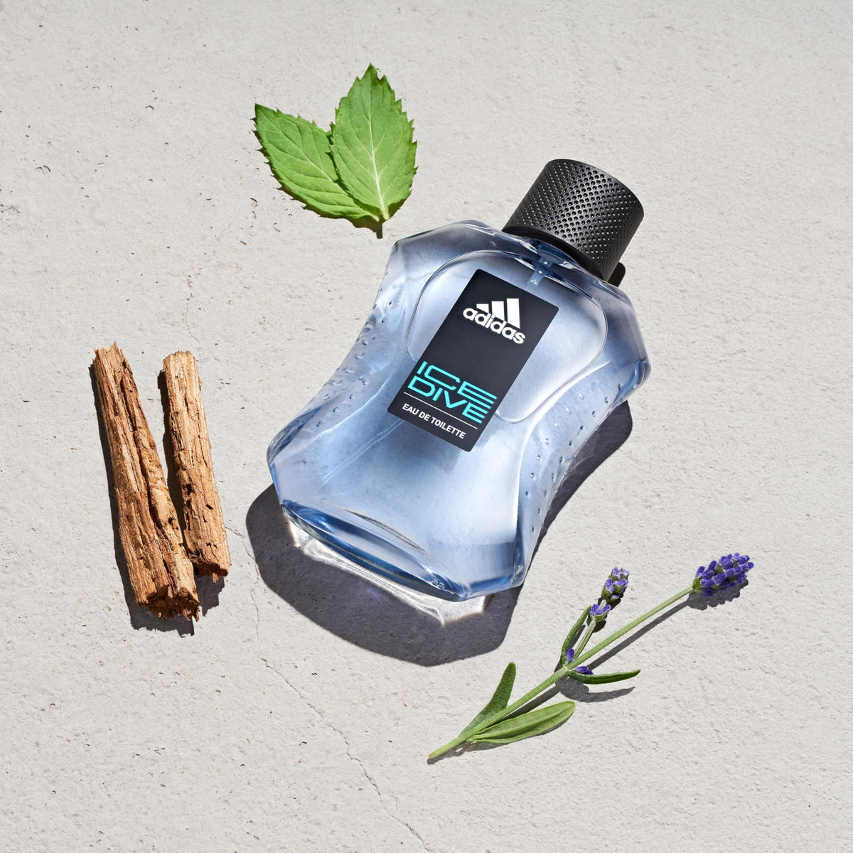 Eau de Toilette 3.3 fl oz Lavender Sandalwood Vanilla Men's Fragrance V711184