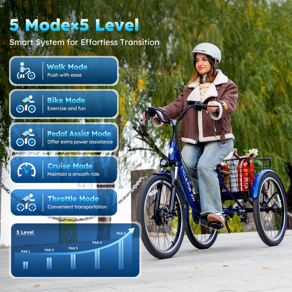 Electric Tricycle for Adults B216306